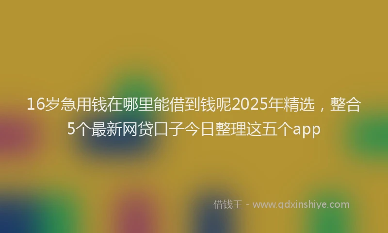 16岁急用钱在哪里能借到钱呢2025年精选，整合5个最新网贷口子今日整理这五个app