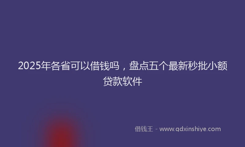 2025年各省可以借钱吗，盘点五个最新秒批小额贷款软件