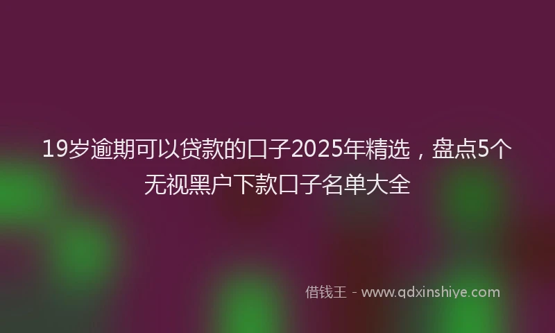 19岁逾期可以贷款的口子2025年精选，盘点5个无视黑户下款口子名单大全