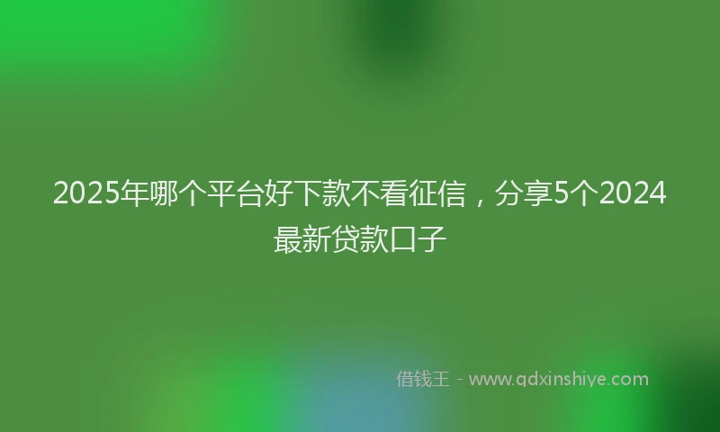2025年哪个平台好下款不看征信，分享5个2024最新贷款口子