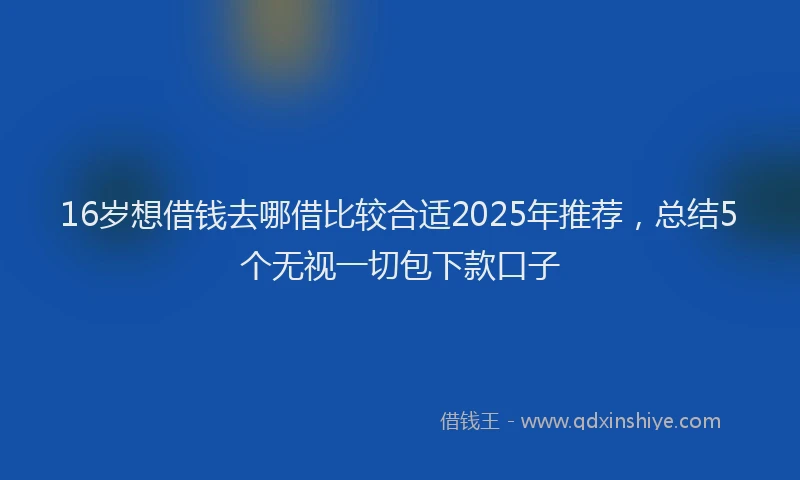 16岁想借钱去哪借比较合适2025年推荐，总结5个无视一切包下款口子