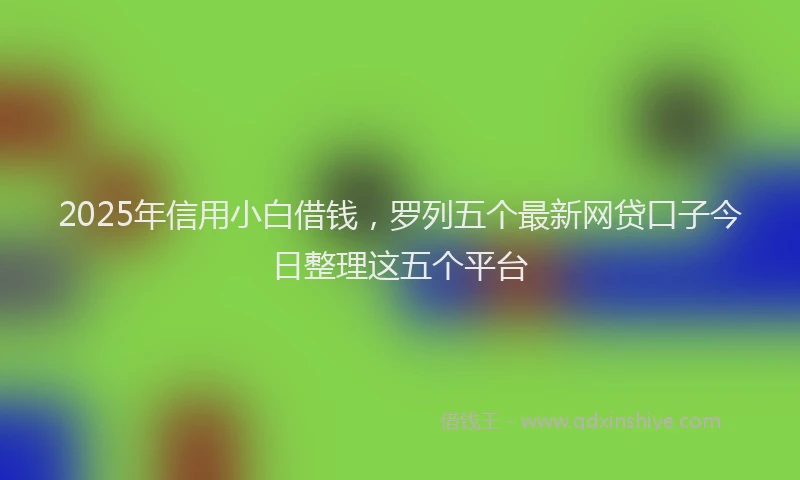 2025年信用小白借钱，罗列五个最新网贷口子今日整理这五个平台