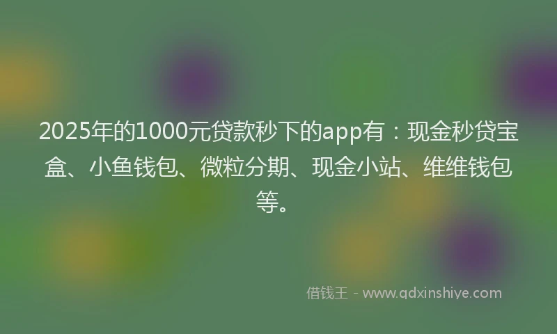 2025年的1000元贷款秒下的app有：现金秒贷宝盒、小鱼钱包、微粒分期、现金小站、维维钱包等。