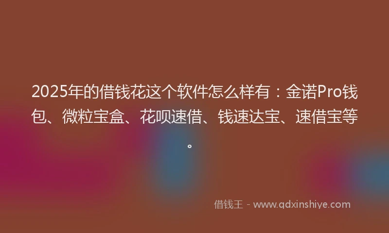 2025年的借钱花这个软件怎么样有：金诺Pro钱包、微粒宝盒、花呗速借、钱速达宝、速借宝等。