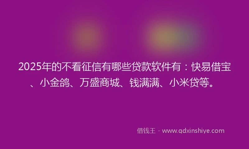 2025年的不看征信有哪些贷款软件有：快易借宝、小金鸽、万盛商城、钱满满、小米贷等。