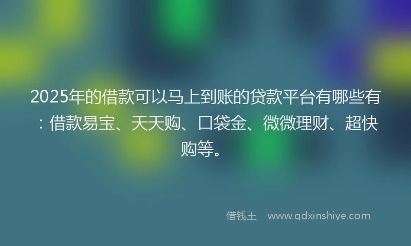 2025年的借款可以马上到账的贷款平台有哪些有：借款易宝、天天购、口袋金、微微理财、超快购等。