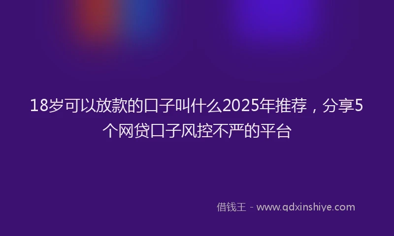 18岁可以放款的口子叫什么2025年推荐，分享5个网贷口子风控不严的平台