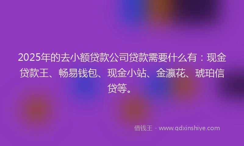 2025年的去小额贷款公司贷款需要什么有：现金贷款王、畅易钱包、现金小站、金瀛花、琥珀信贷等。