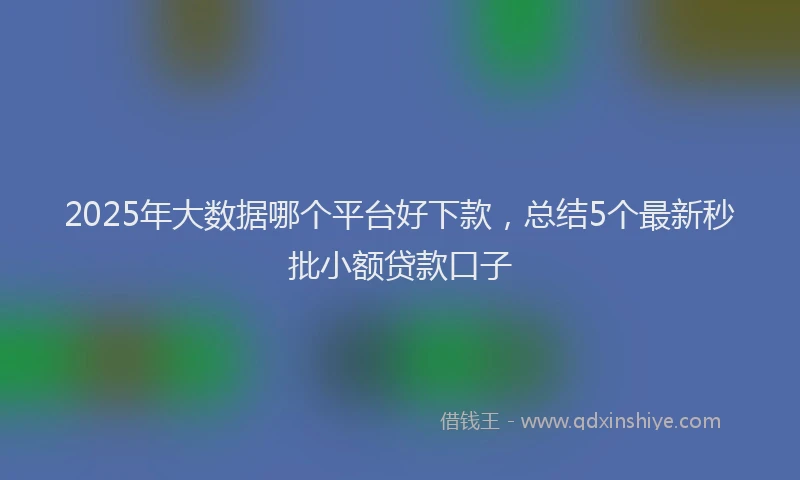 2025年大数据哪个平台好下款，总结5个最新秒批小额贷款口子