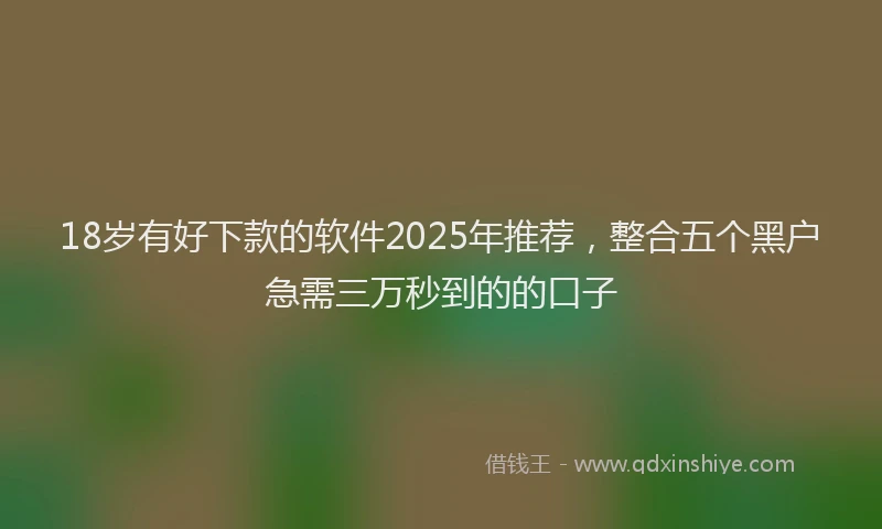 18岁有好下款的软件2025年推荐，整合五个黑户急需三万秒到的的口子