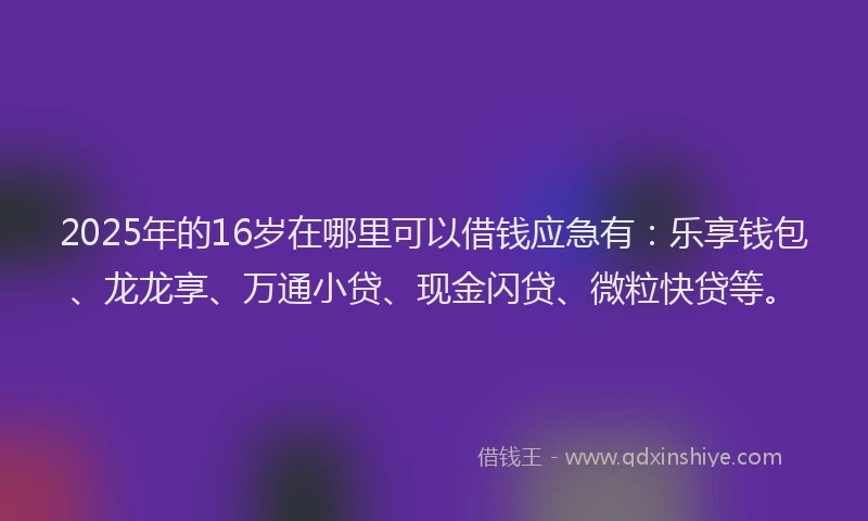 2025年的16岁在哪里可以借钱应急有：乐享钱包、龙龙享、万通小贷、现金闪贷、微粒快贷等。