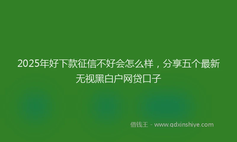 2025年好下款征信不好会怎么样，分享五个最新无视黑白户网贷口子