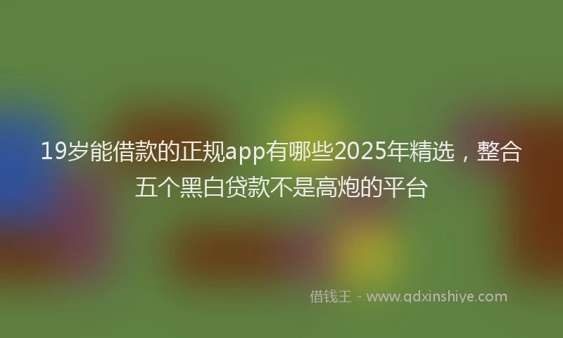 19岁能借款的正规app有哪些2025年精选，整合五个黑白贷款不是高炮的平台
