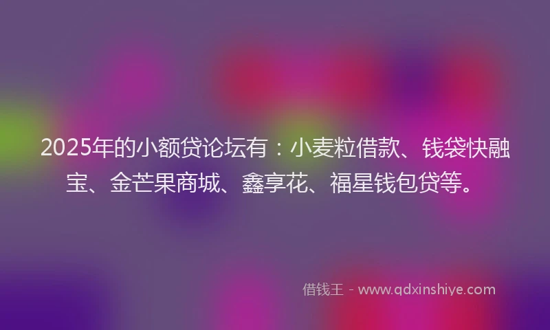 2025年的小额贷论坛有：小麦粒借款、钱袋快融宝、金芒果商城、鑫享花、福星钱包贷等。