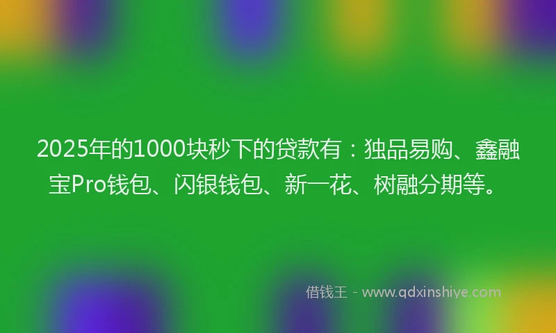 2025年的1000块秒下的贷款有：独品易购、鑫融宝Pro钱包、闪银钱包、新一花、树融分期等。