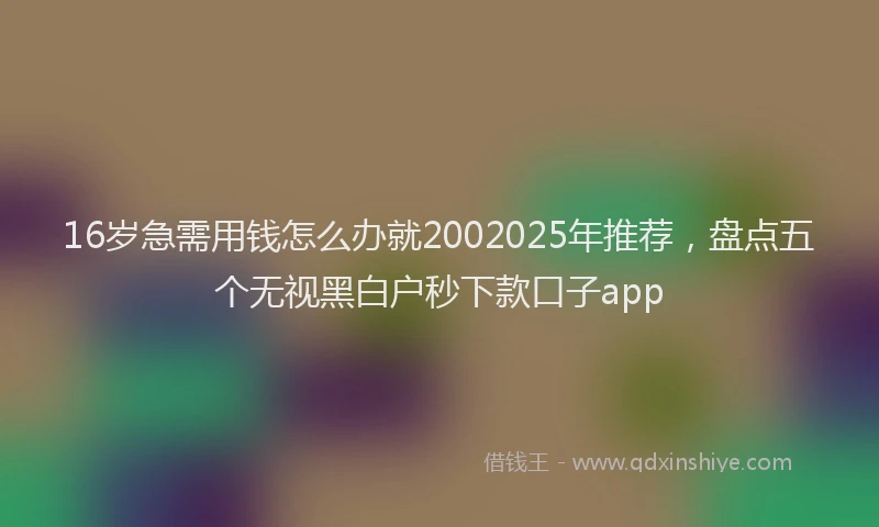 16岁急需用钱怎么办就2002025年推荐，盘点五个无视黑白户秒下款口子app