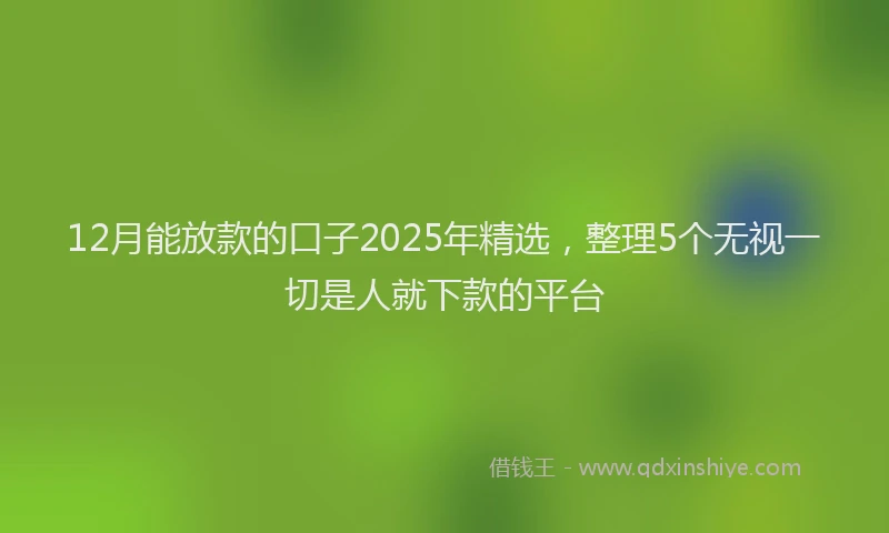 12月能放款的口子2025年精选，整理5个无视一切是人就下款的平台