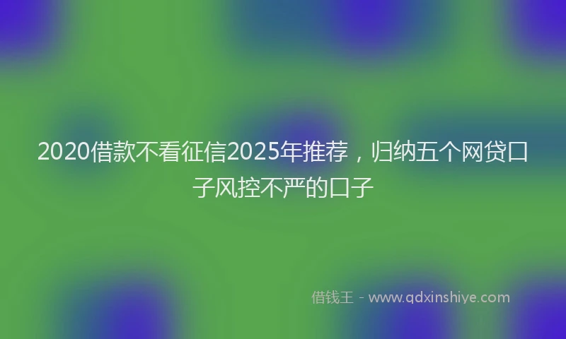 2020借款不看征信2025年推荐，归纳五个网贷口子风控不严的口子
