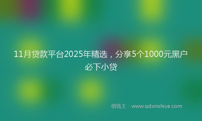 11月贷款平台2025年精选，分享5个1000元黑户必下小贷