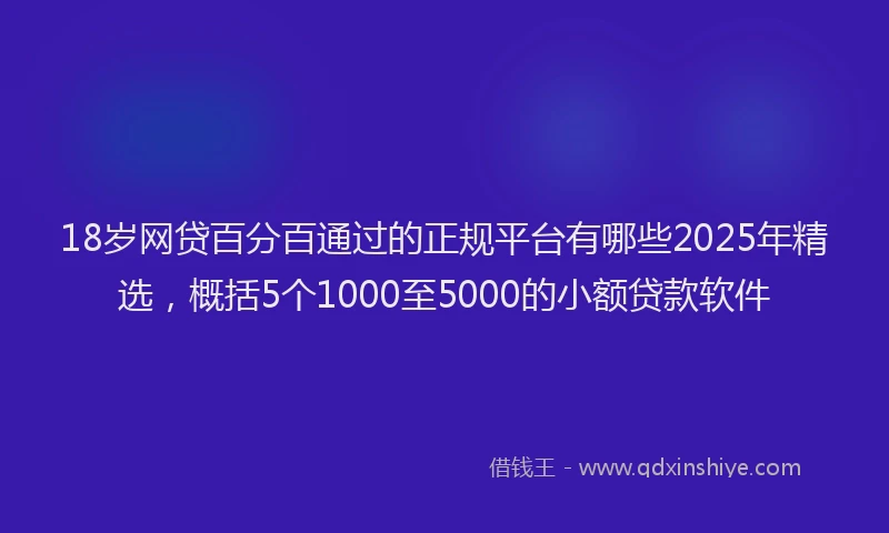 18岁网贷百分百通过的正规平台有哪些2025年精选，概括5个1000至5000的小额贷款软件