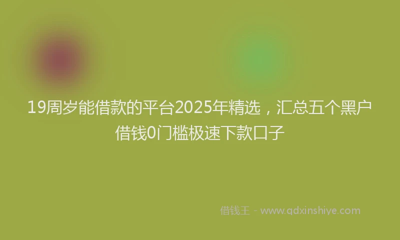 19周岁能借款的平台2025年精选，汇总五个黑户借钱0门槛极速下款口子