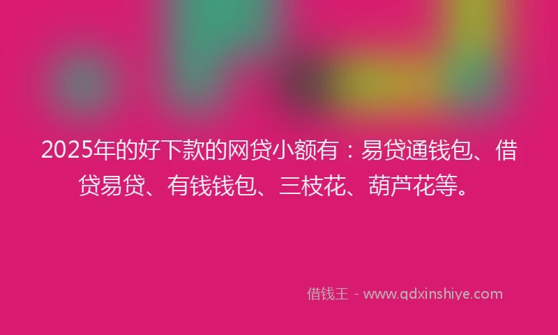 2025年的好下款的网贷小额有：易贷通钱包、借贷易贷、有钱钱包、三枝花、葫芦花等。
