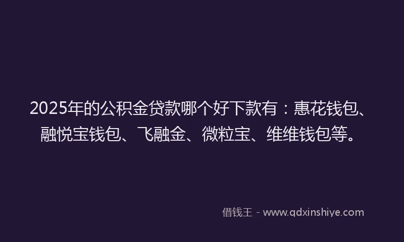 2025年的公积金贷款哪个好下款有：惠花钱包、融悦宝钱包、飞融金、微粒宝、维维钱包等。