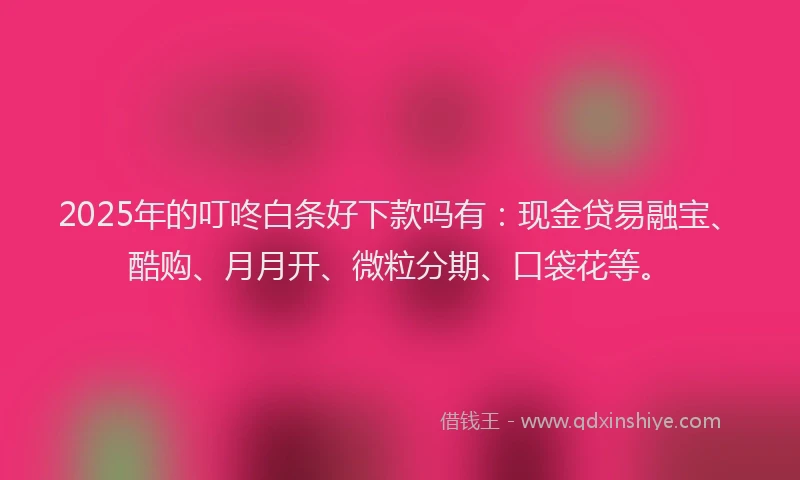 2025年的叮咚白条好下款吗有：现金贷易融宝、酷购、月月开、微粒分期、口袋花等。