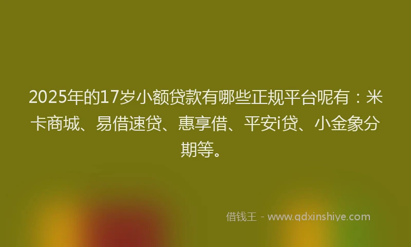 2025年的17岁小额贷款有哪些正规平台呢有：米卡商城、易借速贷、惠享借、平安i贷、小金象分期等。