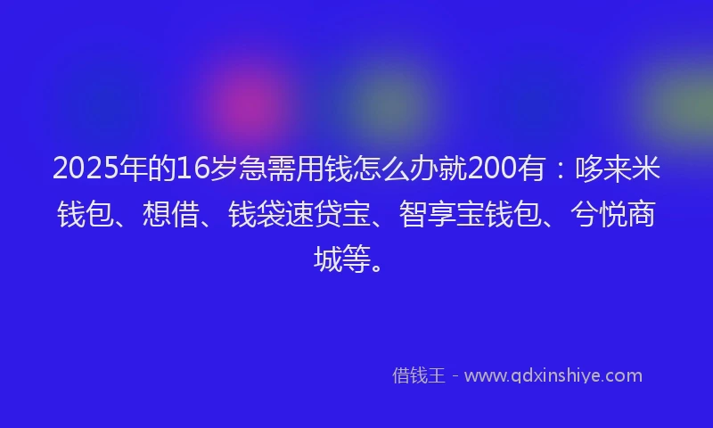 2025年的16岁急需用钱怎么办就200有：哆来米钱包、想借、钱袋速贷宝、智享宝钱包、兮悦商城等。