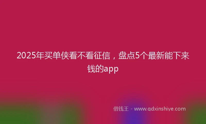 2025年买单侠看不看征信，盘点5个最新能下来钱的app