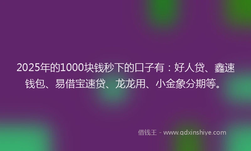 2025年的1000块钱秒下的口子有：好人贷、鑫速钱包、易借宝速贷、龙龙用、小金象分期等。
