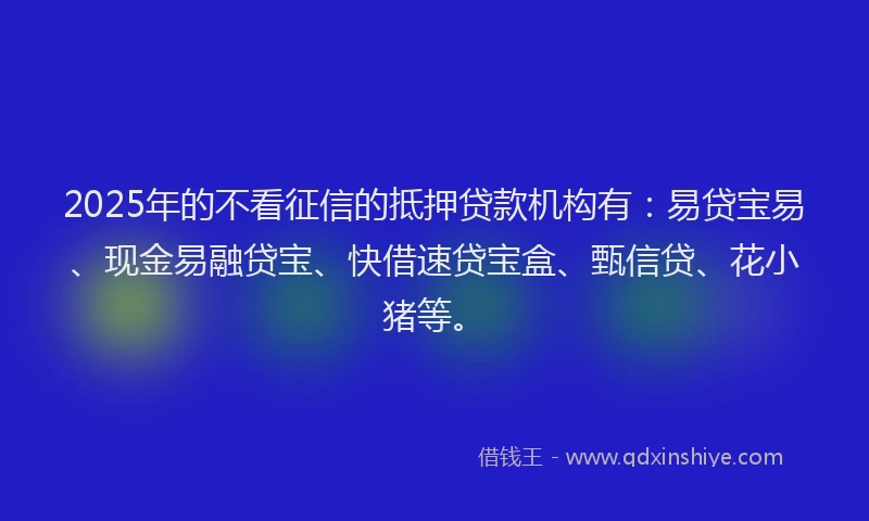 2025年的不看征信的抵押贷款机构有：易贷宝易、现金易融贷宝、快借速贷宝盒、甄信贷、花小猪等。