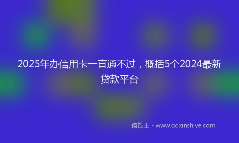 2025年办信用卡一直通不过，概括5个2024最新贷款平台