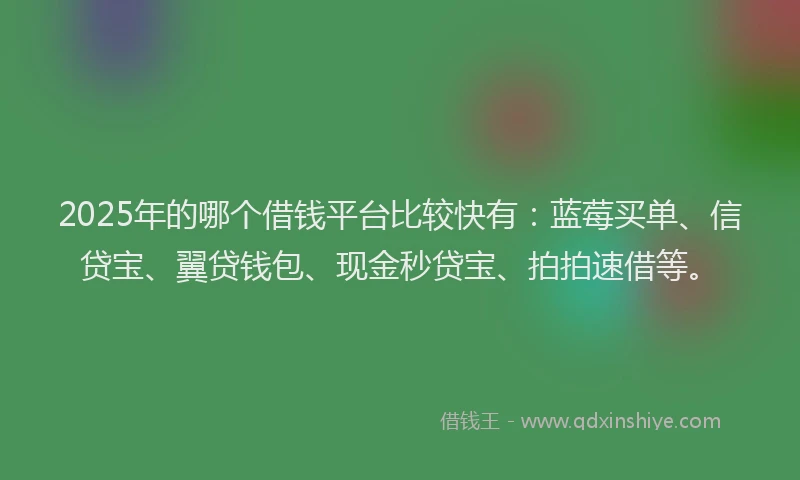 2025年的哪个借钱平台比较快有：蓝莓买单、信贷宝、翼贷钱包、现金秒贷宝、拍拍速借等。
