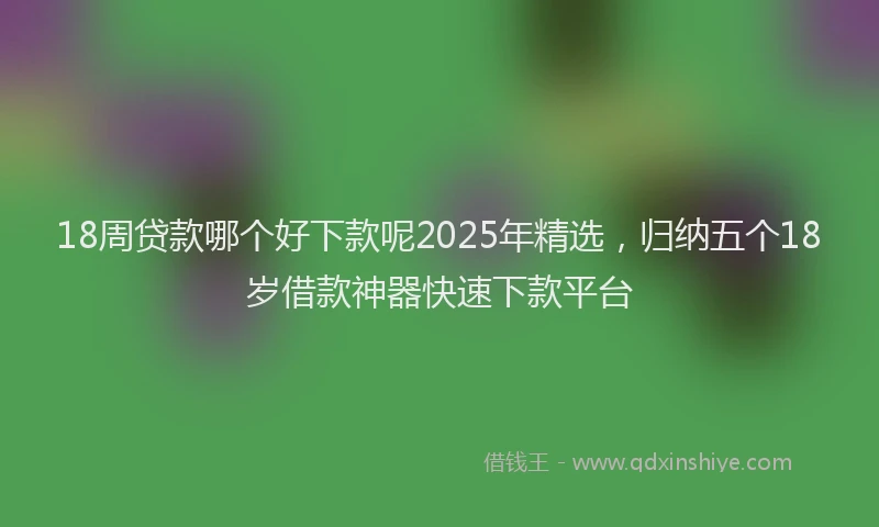 18周贷款哪个好下款呢2025年精选，归纳五个18岁借款神器快速下款平台