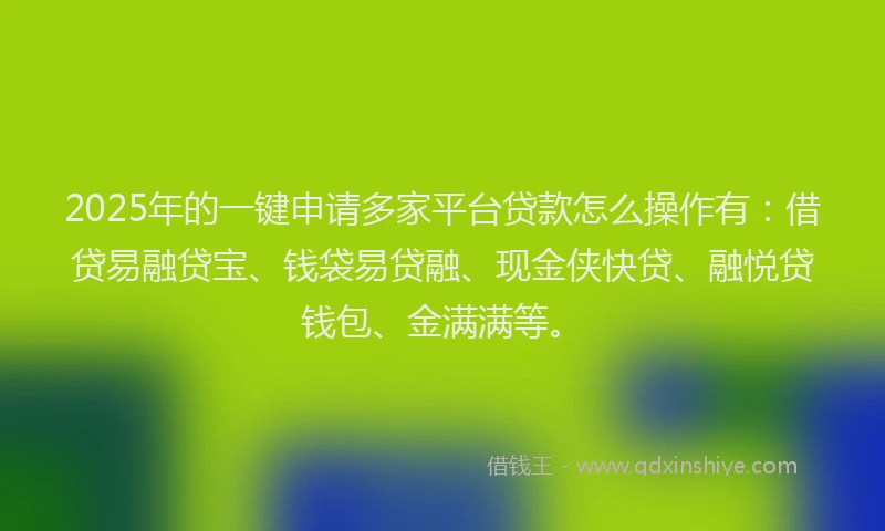2025年的一键申请多家平台贷款怎么操作有：借贷易融贷宝、钱袋易贷融、现金侠快贷、融悦贷钱包、金满满等。