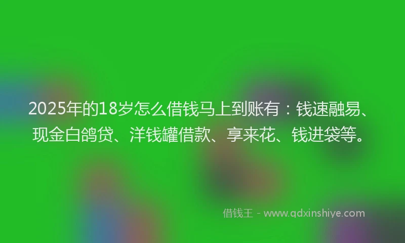 2025年的18岁怎么借钱马上到账有：钱速融易、现金白鸽贷、洋钱罐借款、享来花、钱进袋等。