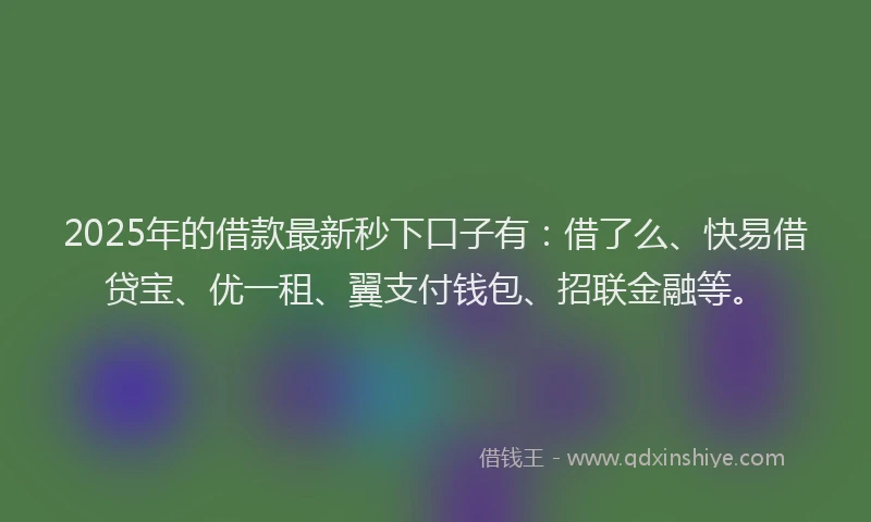 2025年的借款最新秒下口子有：借了么、快易借贷宝、优一租、翼支付钱包、招联金融等。