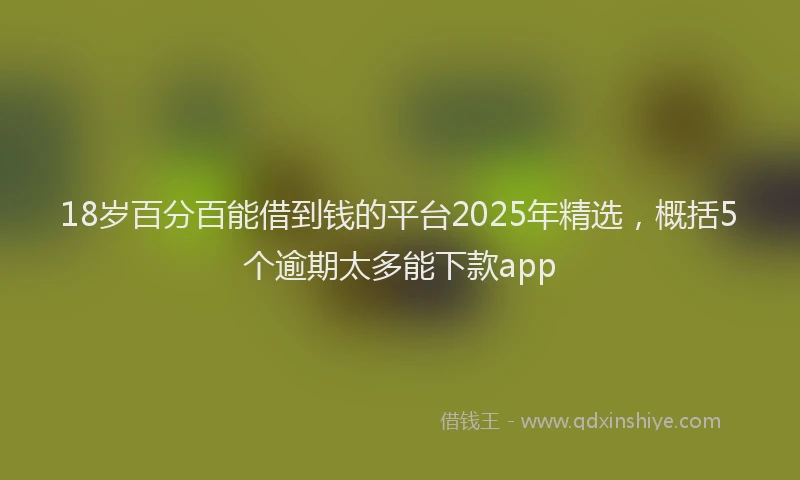 18岁百分百能借到钱的平台2025年精选，概括5个逾期太多能下款app