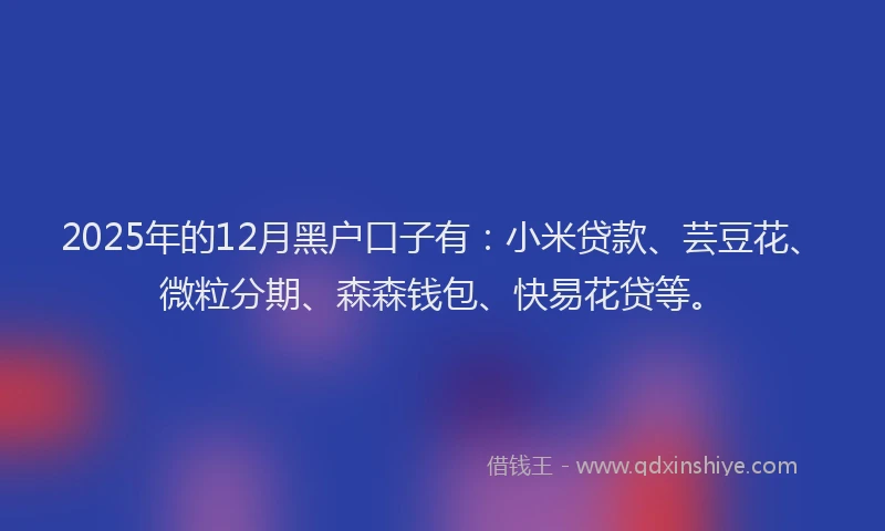 2025年的12月黑户口子有：小米贷款、芸豆花、微粒分期、森森钱包、快易花贷等。