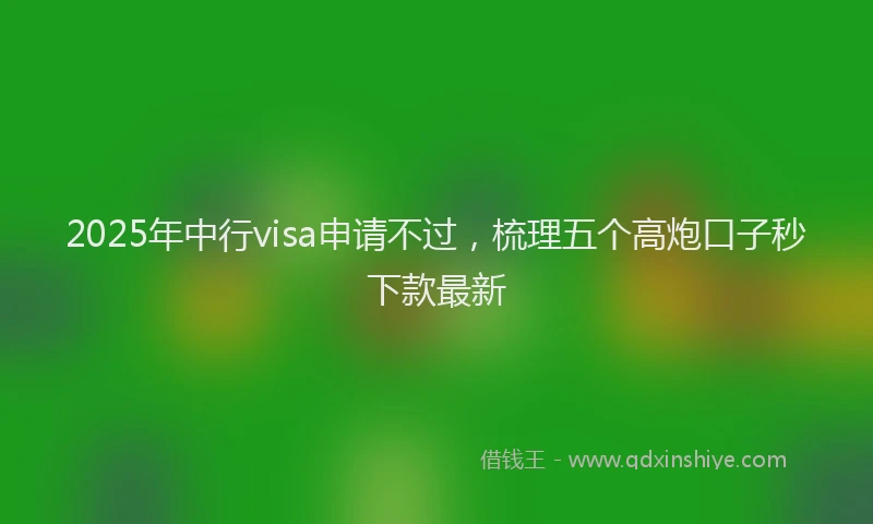 2025年中行visa申请不过，梳理五个高炮口子秒下款最新