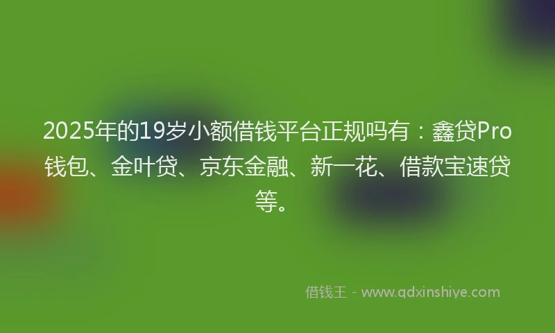 2025年的19岁小额借钱平台正规吗有：鑫贷Pro钱包、金叶贷、京东金融、新一花、借款宝速贷等。
