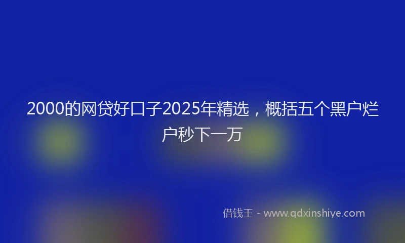 2000的网贷好口子2025年精选，概括五个黑户烂户秒下一万