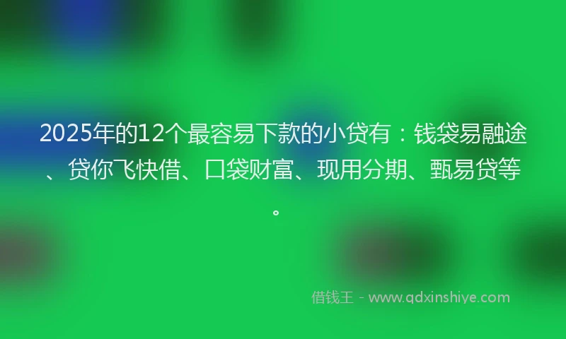 2025年的12个最容易下款的小贷有：钱袋易融途、贷你飞快借、口袋财富、现用分期、甄易贷等。
