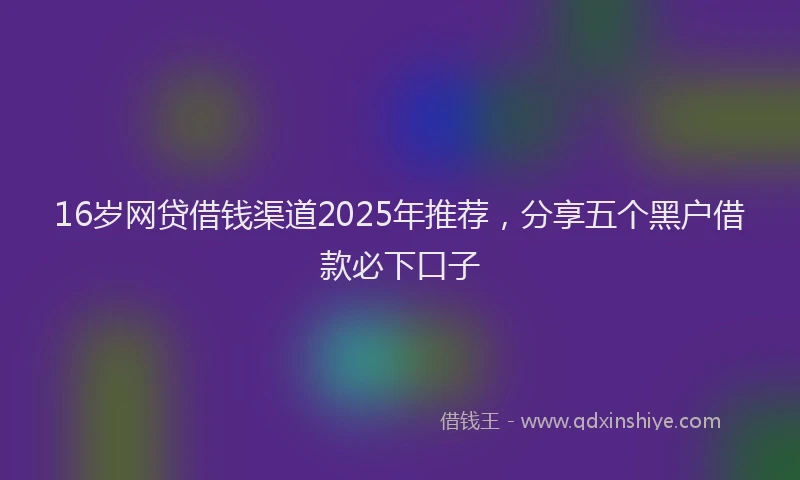 16岁网贷借钱渠道2025年推荐，分享五个黑户借款必下口子