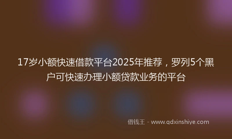 17岁小额快速借款平台2025年推荐，罗列5个黑户可快速办理小额贷款业务的平台
