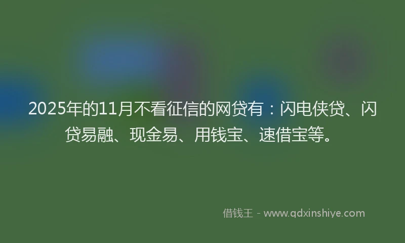 2025年的11月不看征信的网贷有：闪电侠贷、闪贷易融、现金易、用钱宝、速借宝等。