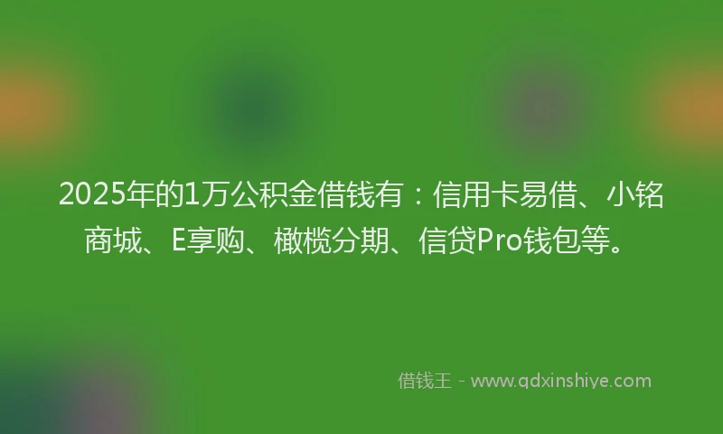 2025年的1万公积金借钱有：信用卡易借、小铭商城、E享购、橄榄分期、信贷Pro钱包等。