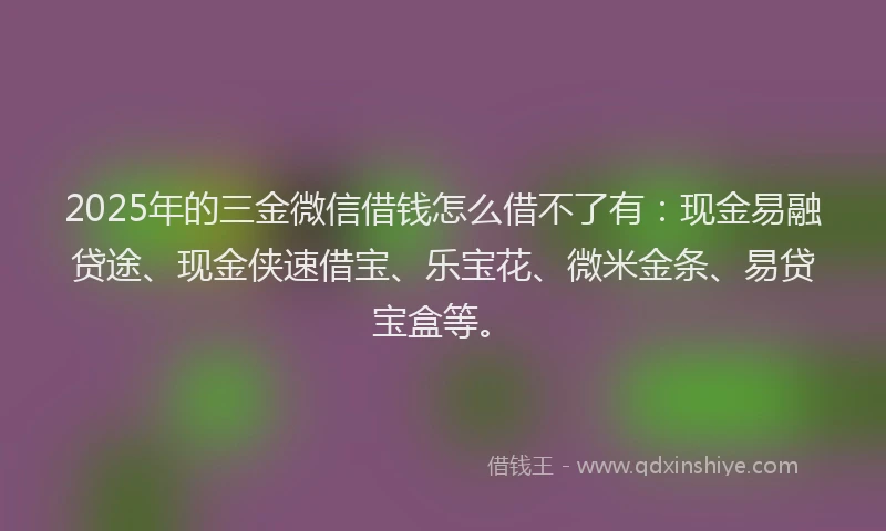2025年的三金微信借钱怎么借不了有：现金易融贷途、现金侠速借宝、乐宝花、微米金条、易贷宝盒等。